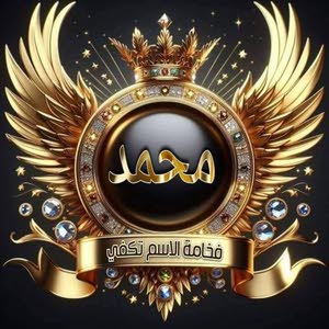 محمد الديري