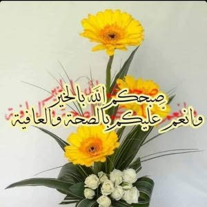  احمد علي