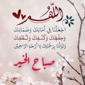 Zaid Tamer