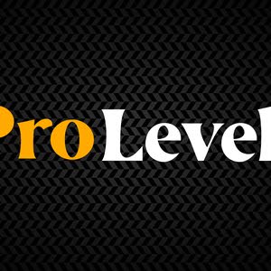  pro level