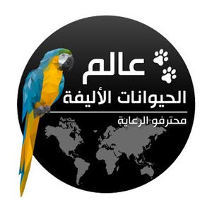 عالم الحيوانات الأليفة