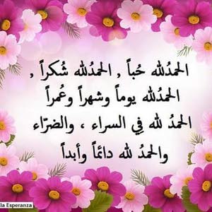 براء ابو سيف