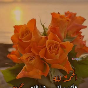  ameen ahmad