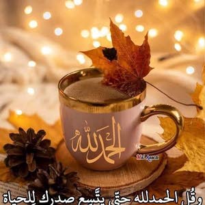  احمد البواب