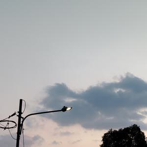 علي