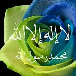  ابن الرومي الرومي