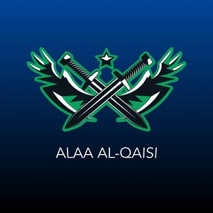  Alaa AlQaisi