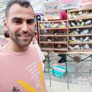 محمدرضامحمد الجميل