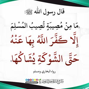  Aysha Iswed