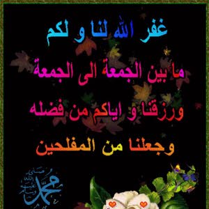  محمد ابوزيد