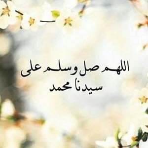  member-1727072837.3479490