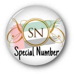 Special Number