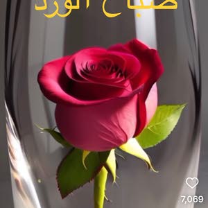  Abu Layth Qawasmeh