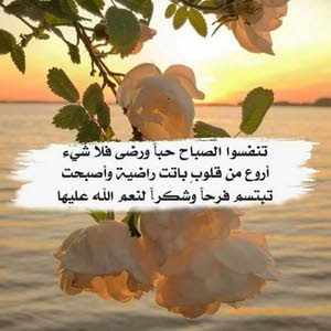 ام جواد