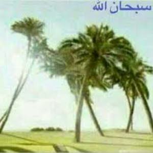  ابوالعبد المفرق