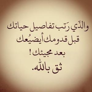  محمود محمد حسن ابو مصطفى