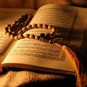  مهند الغول