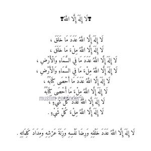  علي يوسف