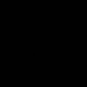  HSA