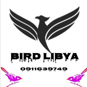  Birds Libya