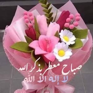 حماده حماده