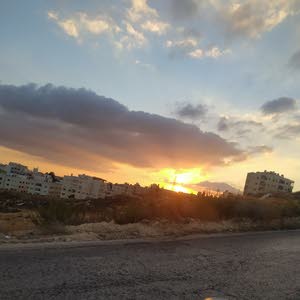 jafar alkhattab