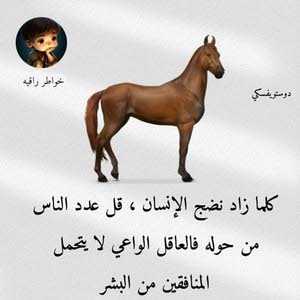  ام عمر