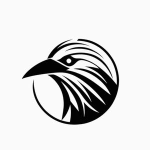  Black Raven  الغراب الأسود