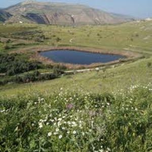 ابو حاتم