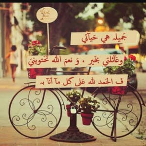  عمر ابو نور