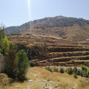 امين محمد عبد الكريم حساين