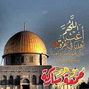  علاء