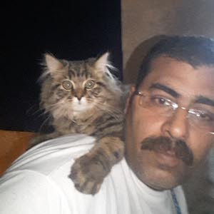 wael hasan