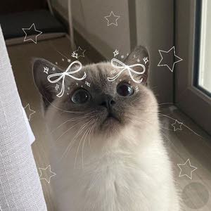  Slae07LEO