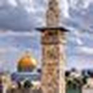  محمد موسى