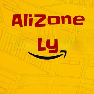  AliZone LY
