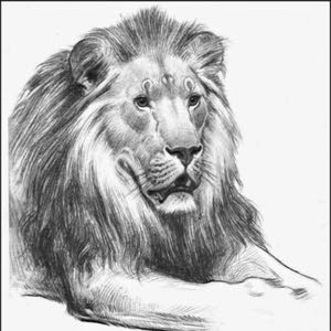  amran khader khader
