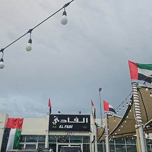 AL FADI USED CAR