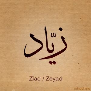 أبو زيد