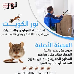  شركة نور الكويت للحشرات
