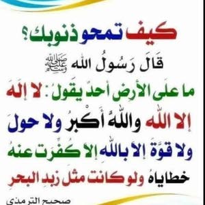  محمد القيسي