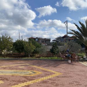 عمر سمير جرادات