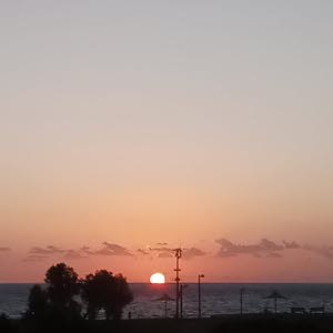 مهند رفيق ابراهيم عرار