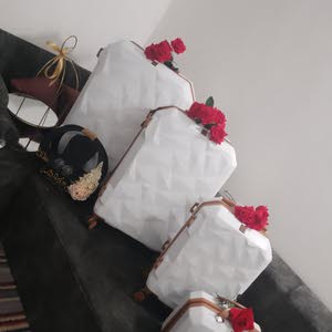  تاجير شناتي عرايس في الاردن