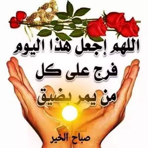  كهربائي وصيانة منازل tareeg