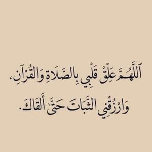 ابو زيد