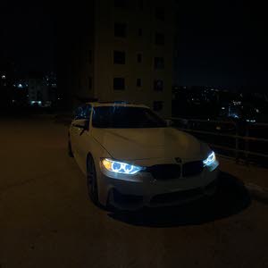  Mahmoud