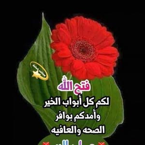  الحمدلله رب العالمين الله اكبر