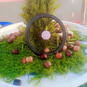 نوافير للحدائق