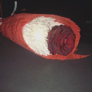  اردني اردني